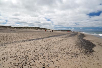 Strand in Vejlby Klit