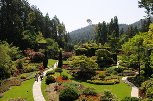 Der versunkene Garten