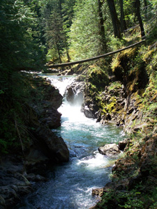 Little Qualicum Wasserfällen