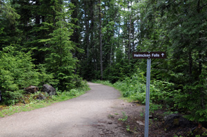 Helmcken Falls