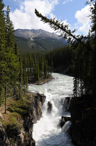 Sunwapta Falls