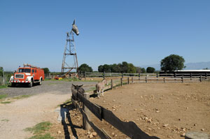 Das Wahrzeichen der Eselfarm