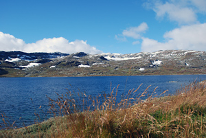 Panorama